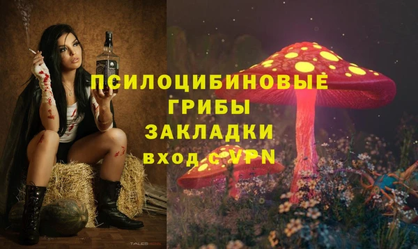 стафф Пролетарск