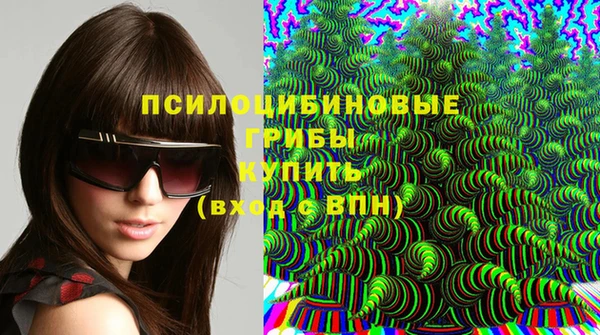 стафф Пролетарск