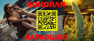 гидра Обнинск