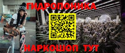 дживик Новодвинск